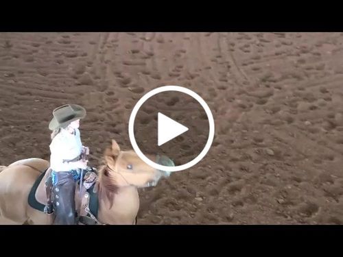 Customer video review of OptiWize Collagen +Plus Equine 14lbs