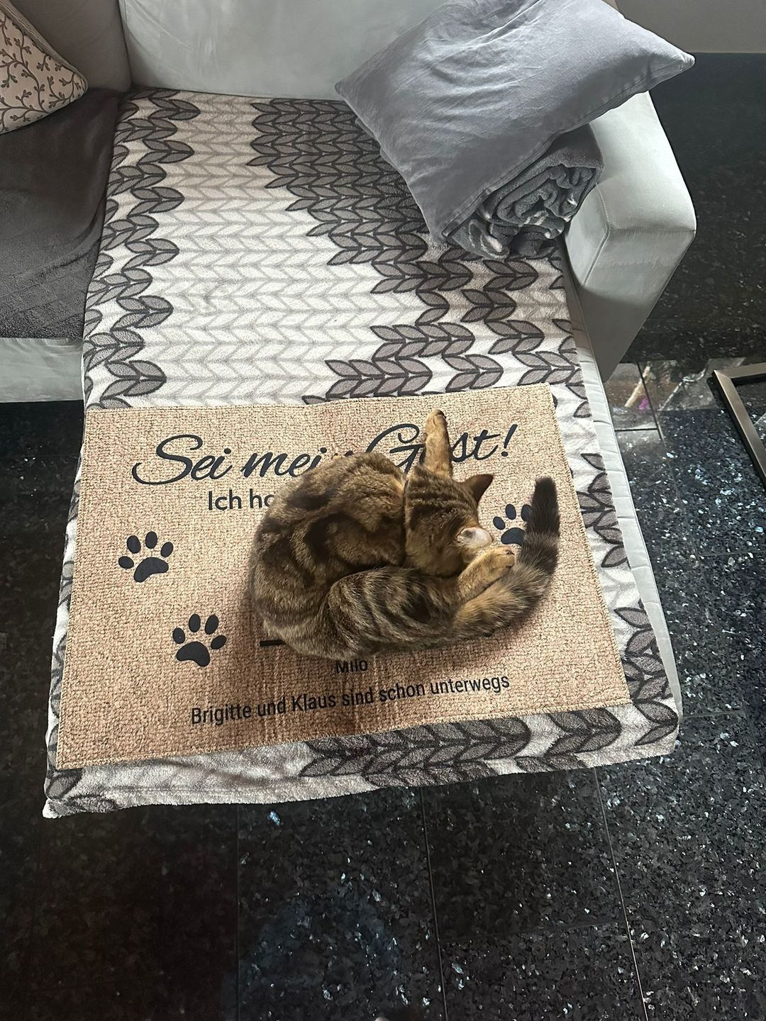 Customer photo review of Katzen holen ihr Personal - Individuelle Fußmatte