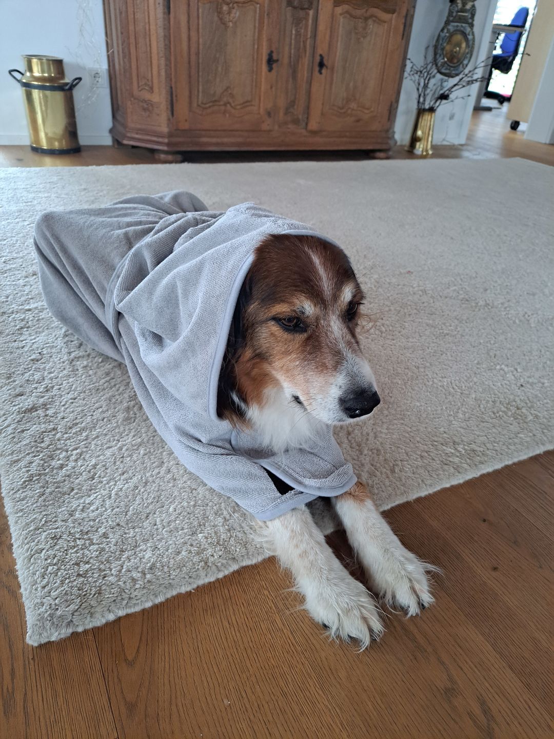 Customer photo review of Premium Hunde Bademantel