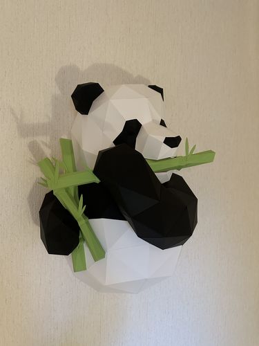 Customer photo review of Patrons Panda (pdf)