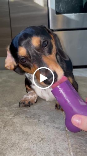 Customer video review of Freezbone