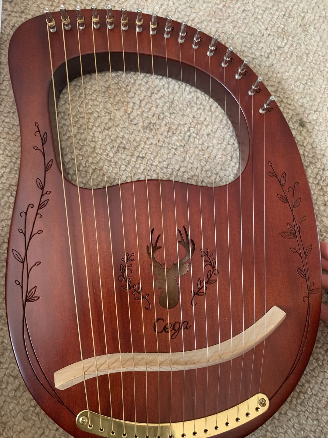 Customer photo review of NARA LYRE 16 String Mahogany w/Bag