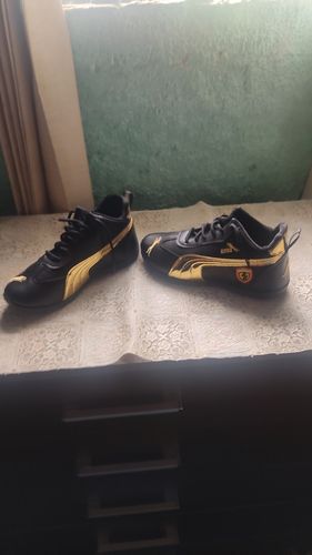 Customer photo review of Tênis Máximus Comfort™ - Edição LIMITADA (50% OFF) - Dourado / 40