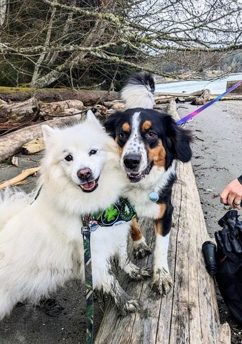 Customer photo review of Explorer