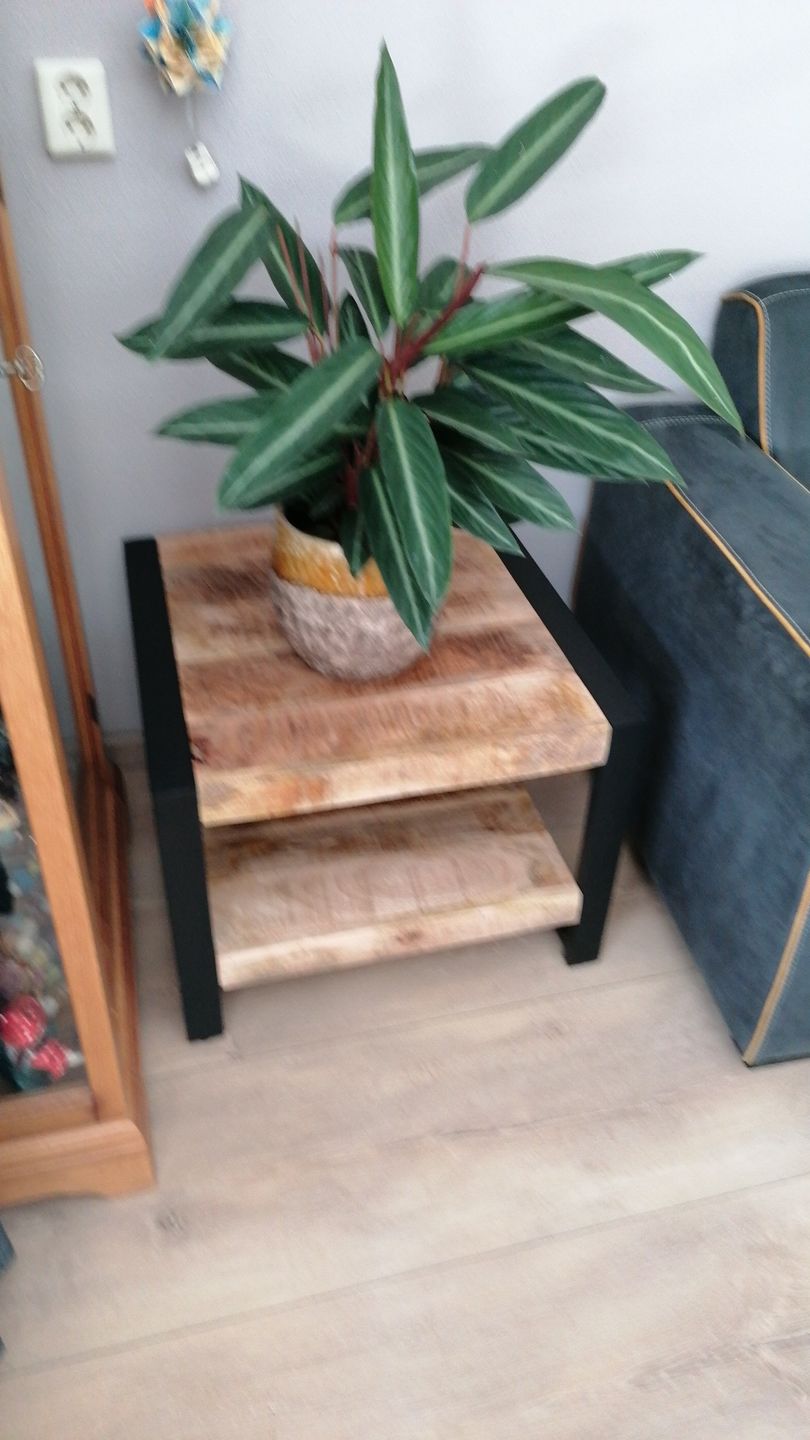 Customer photo review of Salontafel Bijzettafel Industrieel Design | Mangohout en Staal | 50x50x45
