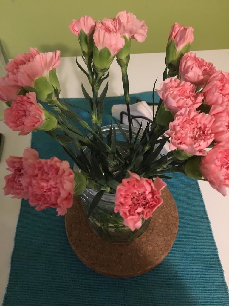 Customer photo review of Carnations