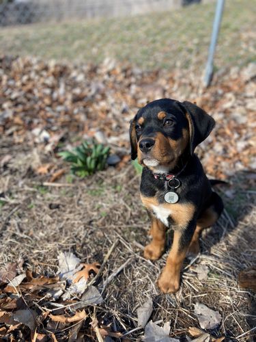 Customer photo review of Green Silicone