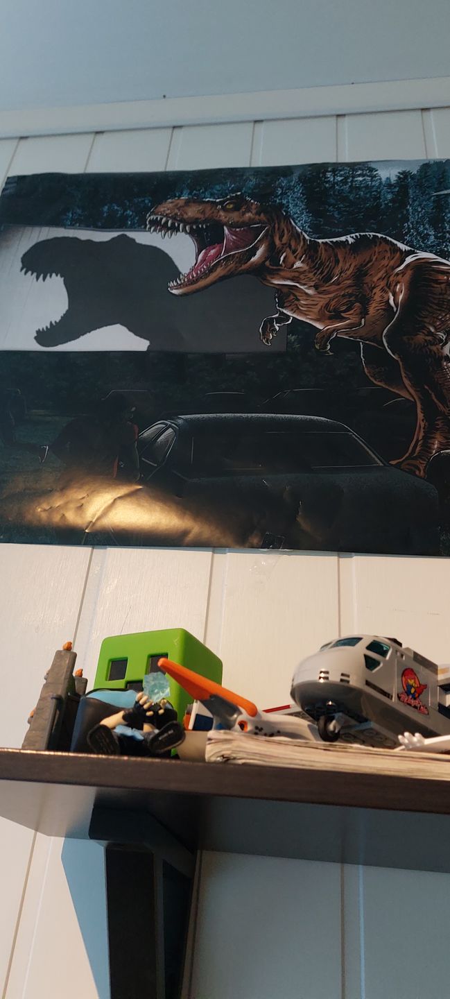 Customer photo review of Jurassic World Plakat Cinema
