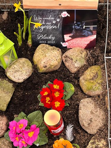 Customer photo review of Katzen Gedenktafel mit Foto & Spruch