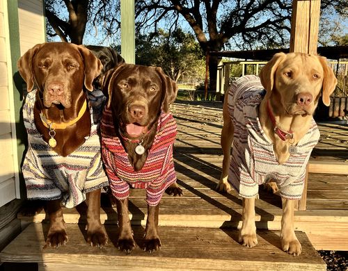 Customer photo review of Playa Poncho - Surprise Color