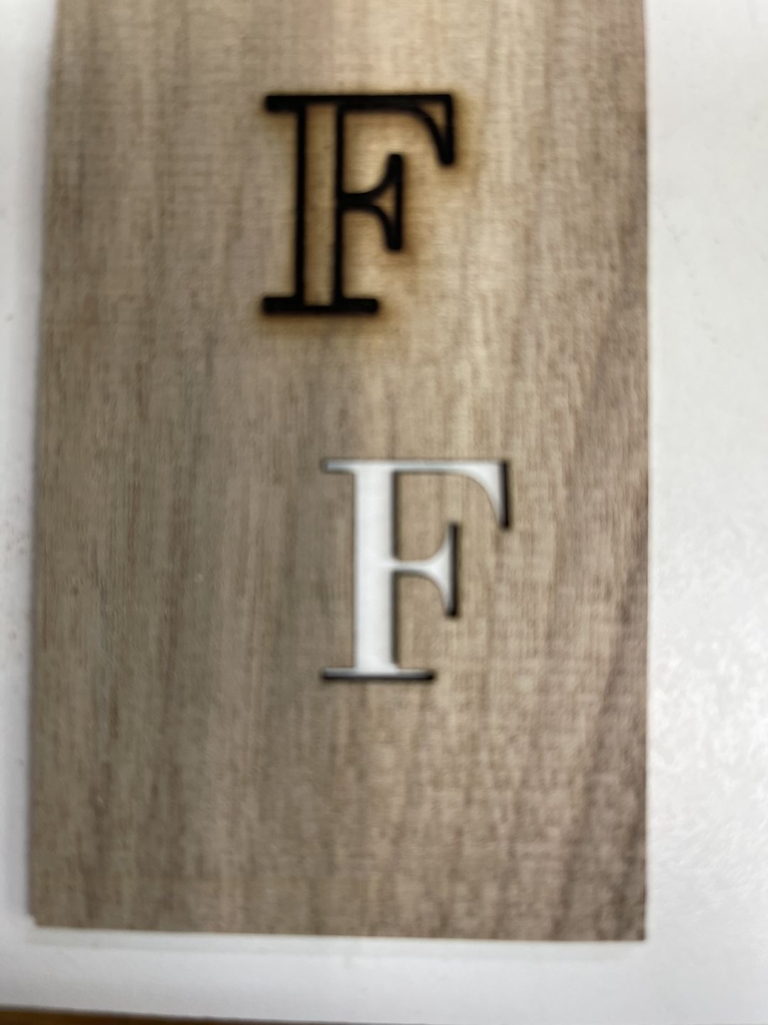 Customer photo review of Air Assist Kits for RAY5 Laser Engraver