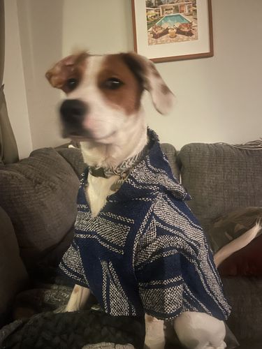 Customer photo review of Playa Poncho - Surprise Color