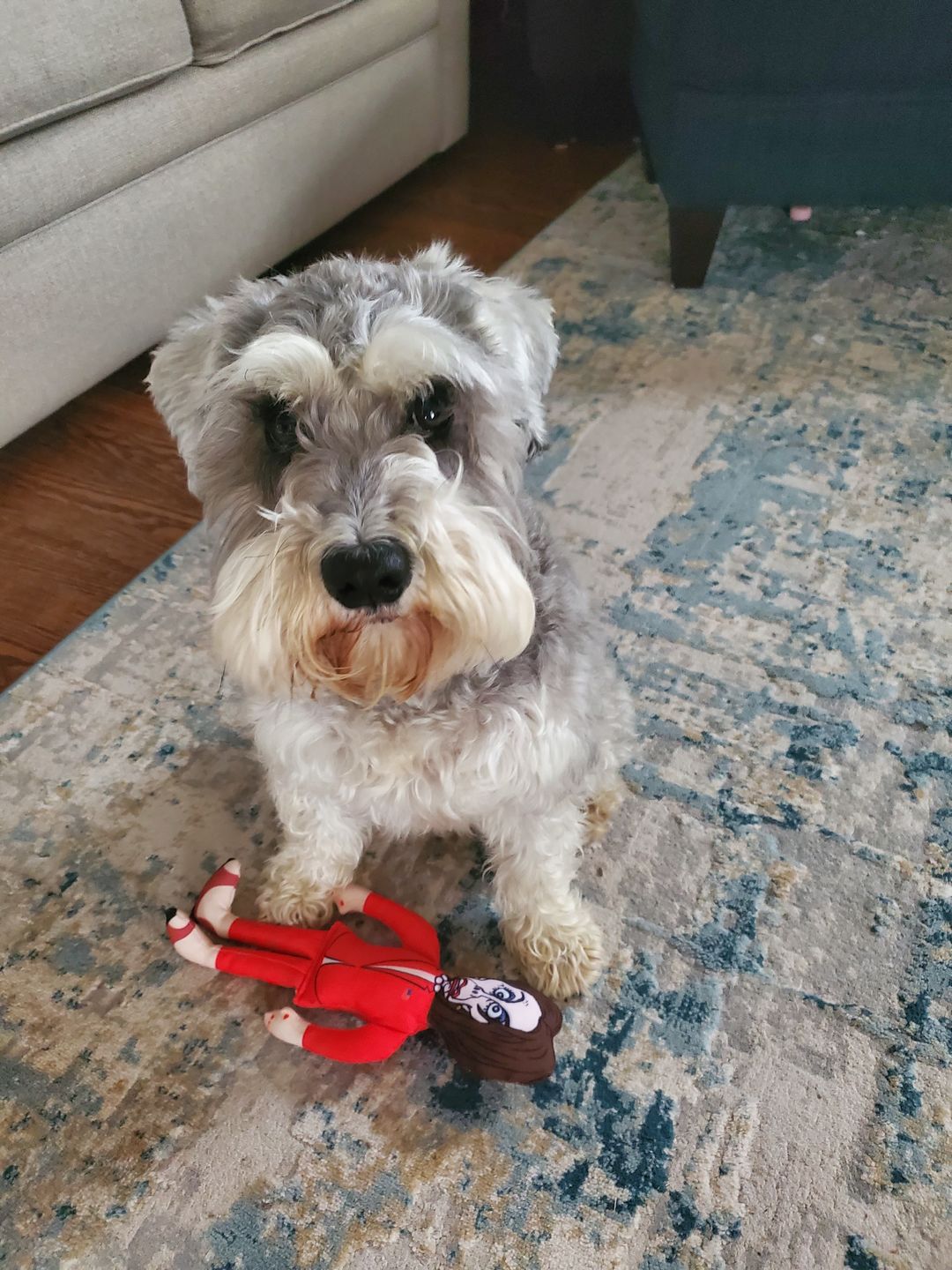 Customer photo review of Joe Biden Kamala Harris & Nancy Pelosi Starter Pack Tough Plush Dog Chew Toys with Squeakers - Official Republican Dogs