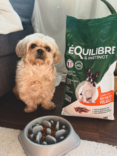 Customer photo review of Croquettes de volaille riches en ingrédients frais - Petite taille (chien adulte)