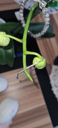 Customer photo review of Crystal Bar Bracelet