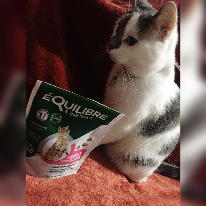 Customer photo review of Friandises riches en saumon (chat adulte)