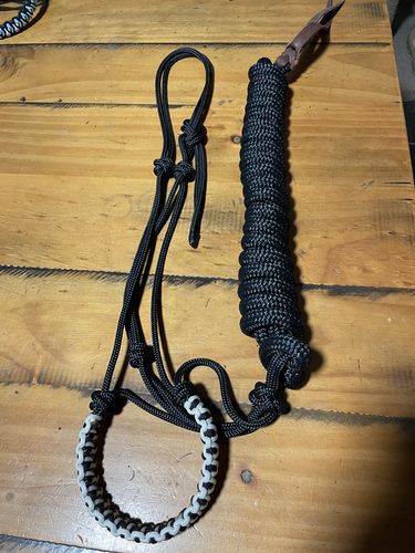 Customer photo review of Black Horse Lead Rope - 14mm