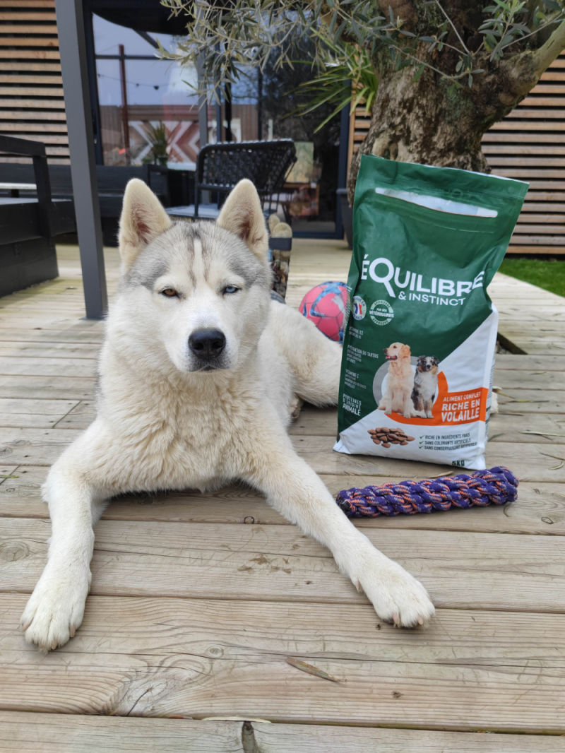 Customer photo review of Croquettes de volaille riches en ingrédients frais - Moy. / Grande taille (chien adulte)