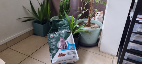 Customer photo review of Croquettes riches en poissons blancs frais (chat stérilisé)