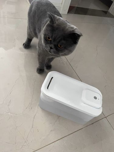 Customer photo review of Michu Cordless & Rechargeable Battery Operated Automatic Pet Water Fountain, Wireless and USB Charging