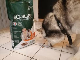 Customer photo review of Croquettes de volaille riches en ingrédients frais - Moy. / Grande taille (chien adulte)