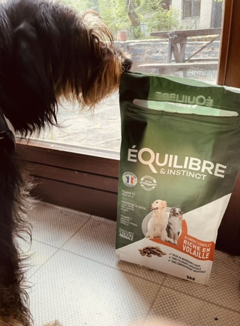 Customer photo review of Croquettes de volaille riches en ingrédients frais - Moy. / Grande taille (chien adulte)