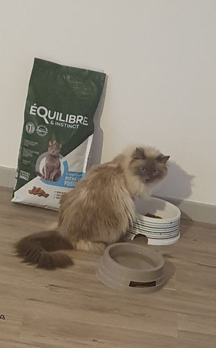 Customer photo review of Croquettes riches en poissons blancs frais (chat stérilisé)