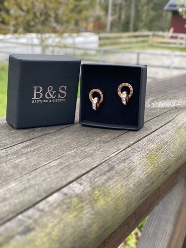 Customer photo review of Earrings with Joined Rings