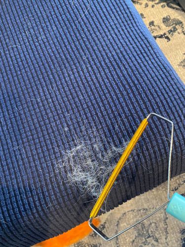 Customer photo review of Sofa Cushion Slipcovers