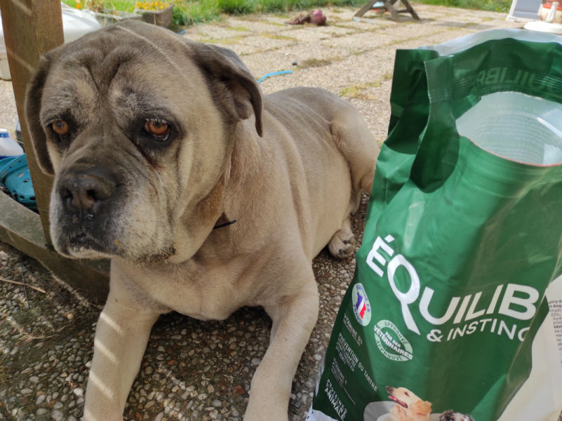 Customer photo review of Croquettes de volaille riches en ingrédients frais - Moy. / Grande taille (chien adulte)