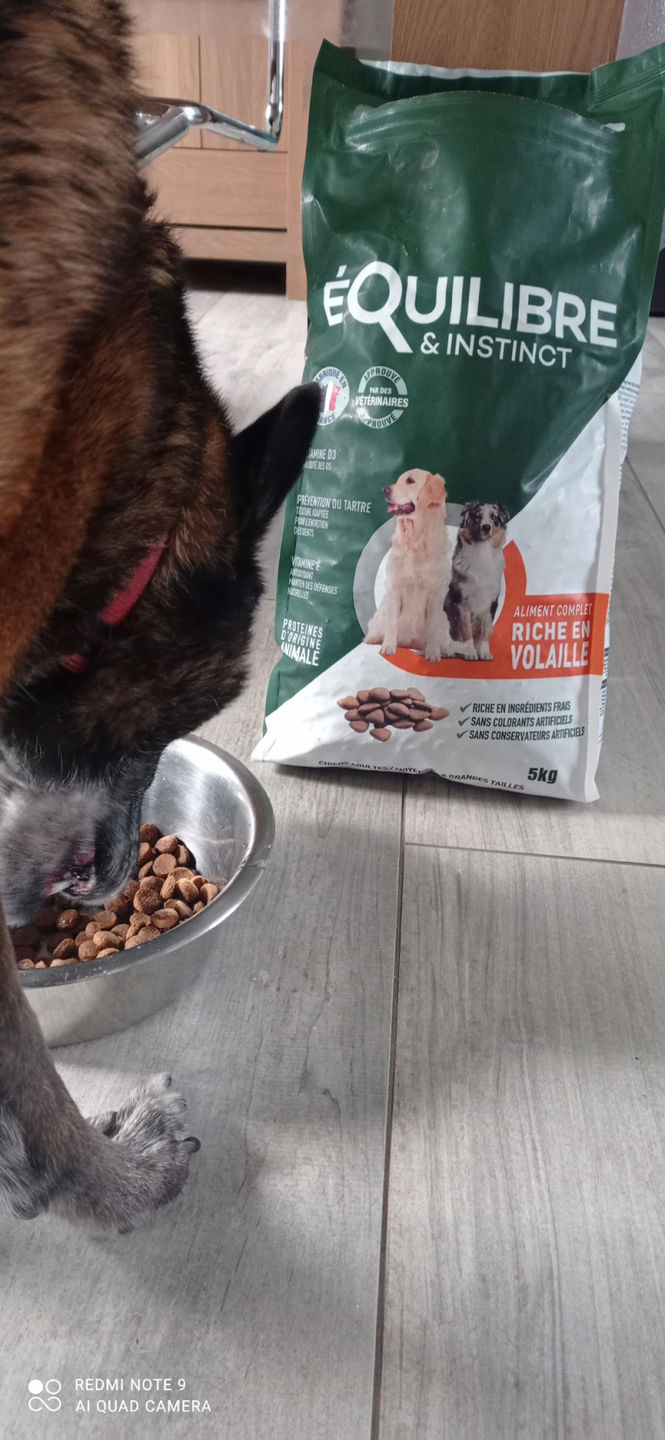 Customer photo review of Croquettes de volaille riches en ingrédients frais - Moy. / Grande taille (chien adulte)