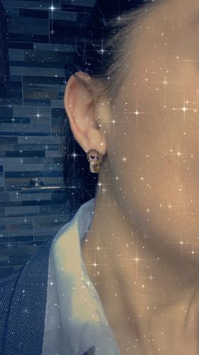 Customer photo review of Earrings with Joined Rings