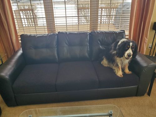 Customer photo review of Sofa Cushion Slipcovers