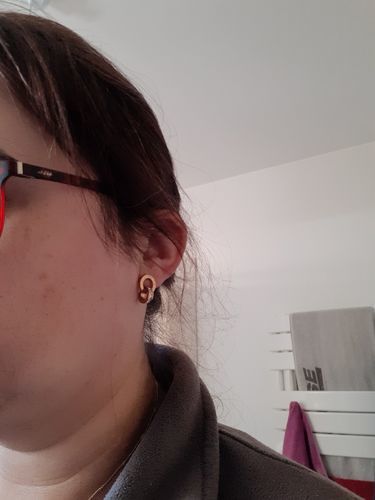 Customer photo review of Earrings with Joined Rings