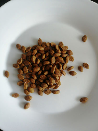 Customer photo review of Croquettes riches en poissons blancs frais (chat stérilisé)