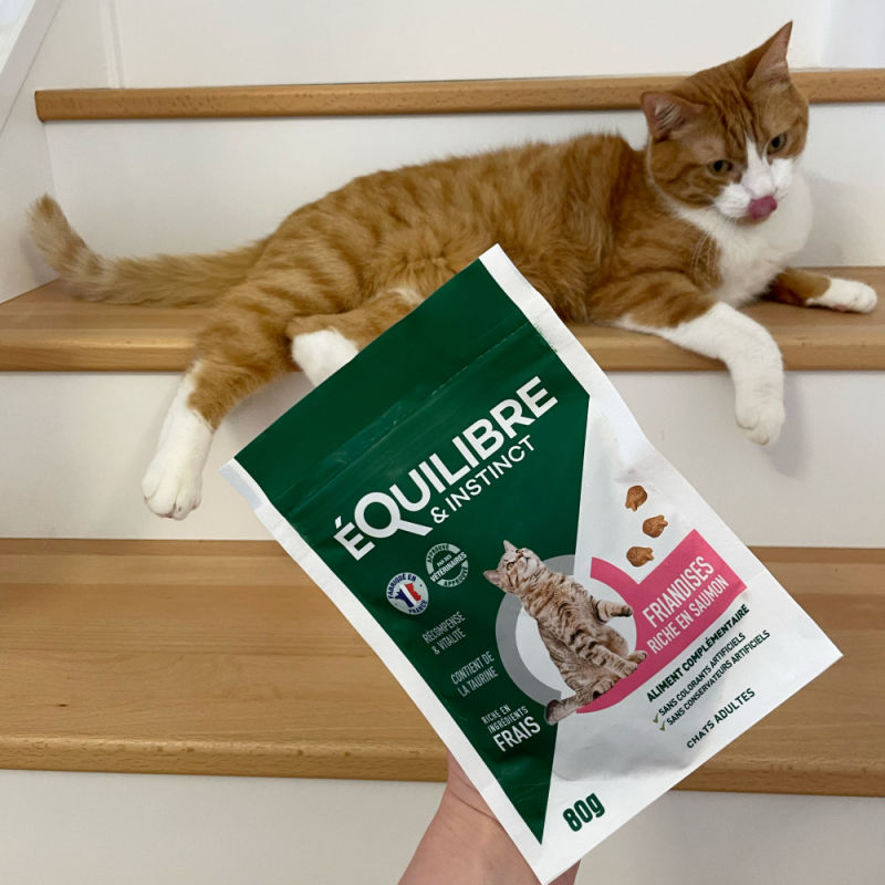 Customer photo review of Friandises riches en saumon (chat adulte)
