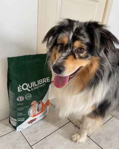 Customer photo review of Croquettes de volaille riches en ingrédients frais - Moy. / Grande taille (chien adulte)