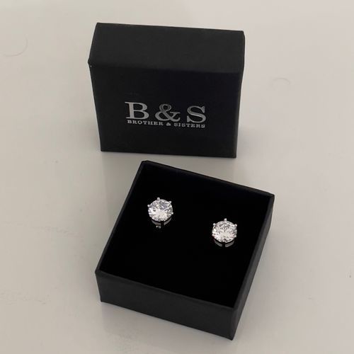 Customer photo review of Silver Classic Earrings