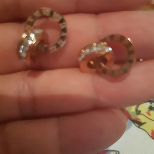 Customer photo review of Earrings with Joined Rings
