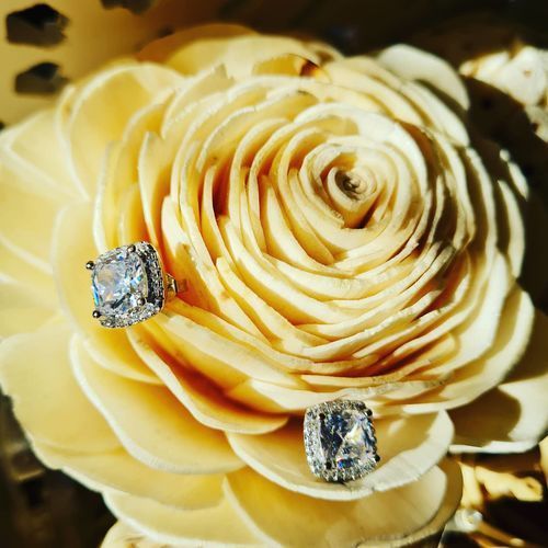 Customer photo review of Silver Timeless Earrings