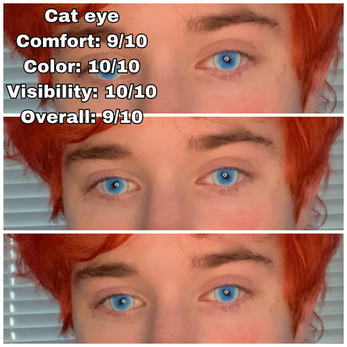 Customer photo review of Ragdoll Cat Eyes Blue Colored Contact Lenses
