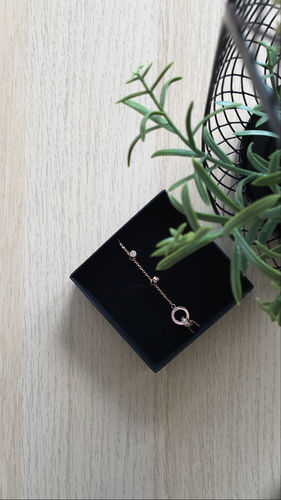Customer photo review of Bracelet with Joined Rings & Crystals
