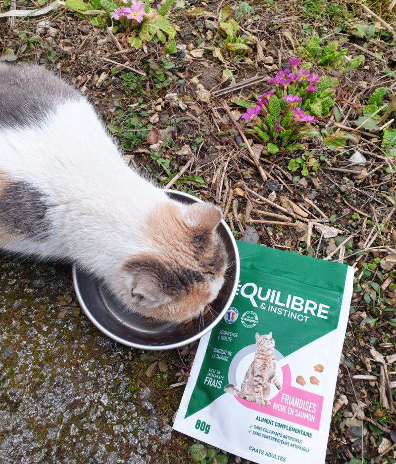 Customer photo review of Friandises riches en saumon (chat adulte)