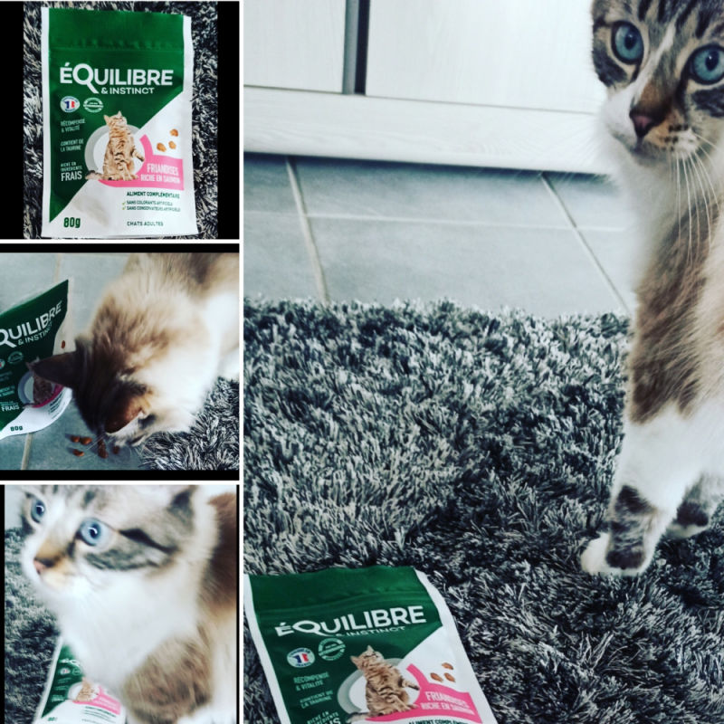 Customer photo review of Friandises riches en saumon (chat adulte)