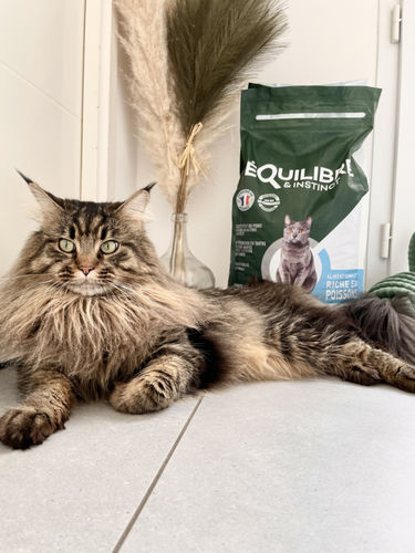 Customer photo review of Croquettes riches en poissons blancs frais (chat stérilisé)