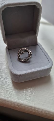 Customer photo review of Ouroboros Earrings