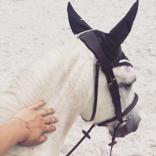 Customer photo review of Little Wave Bracelet