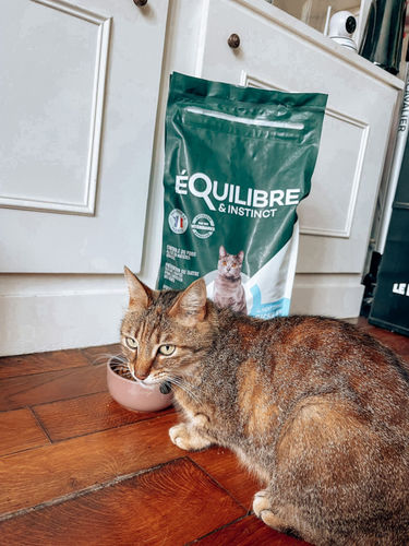 Customer photo review of Croquettes riches en poissons blancs frais (chat stérilisé)