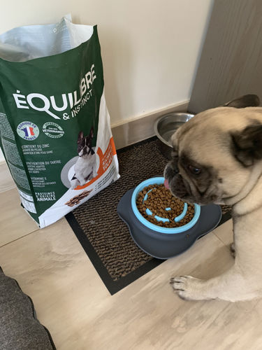 Customer photo review of Croquettes de volaille riches en ingrédients frais - Petite taille (chien adulte)