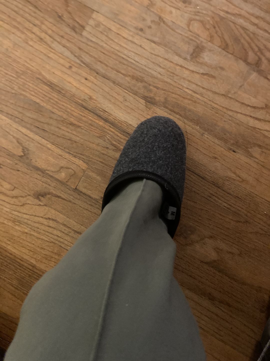 Customer photo review of Indoor Overshoes